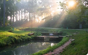 etang truite verquigneul