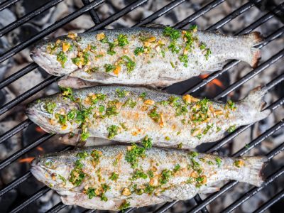 Pisciculture De Monchel : Truites en Barbecue, issu de notre etang de peche nord