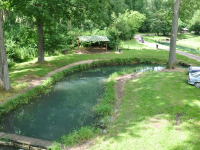 etang truite 16