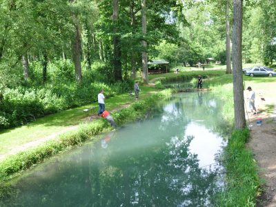 peche truite 17