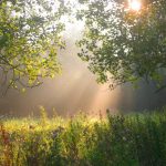 Pisciculture De Monchel : paysage de l'etang de peche dans le nord