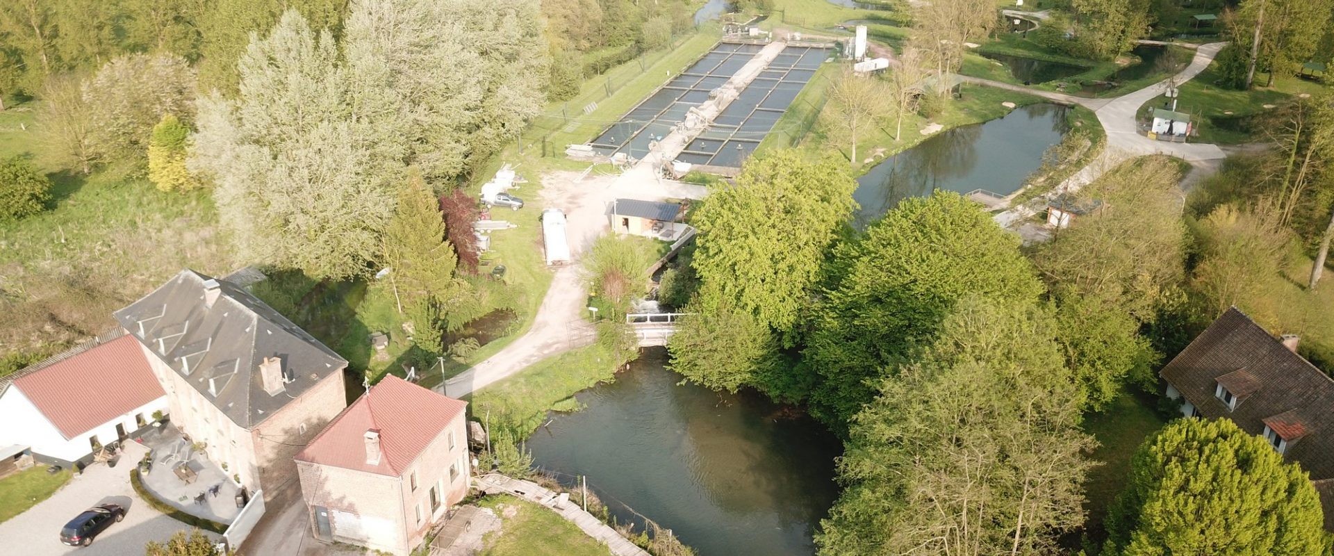 Pisciculture De Monchel : etang de peche 62 pour peche a la truite en etang