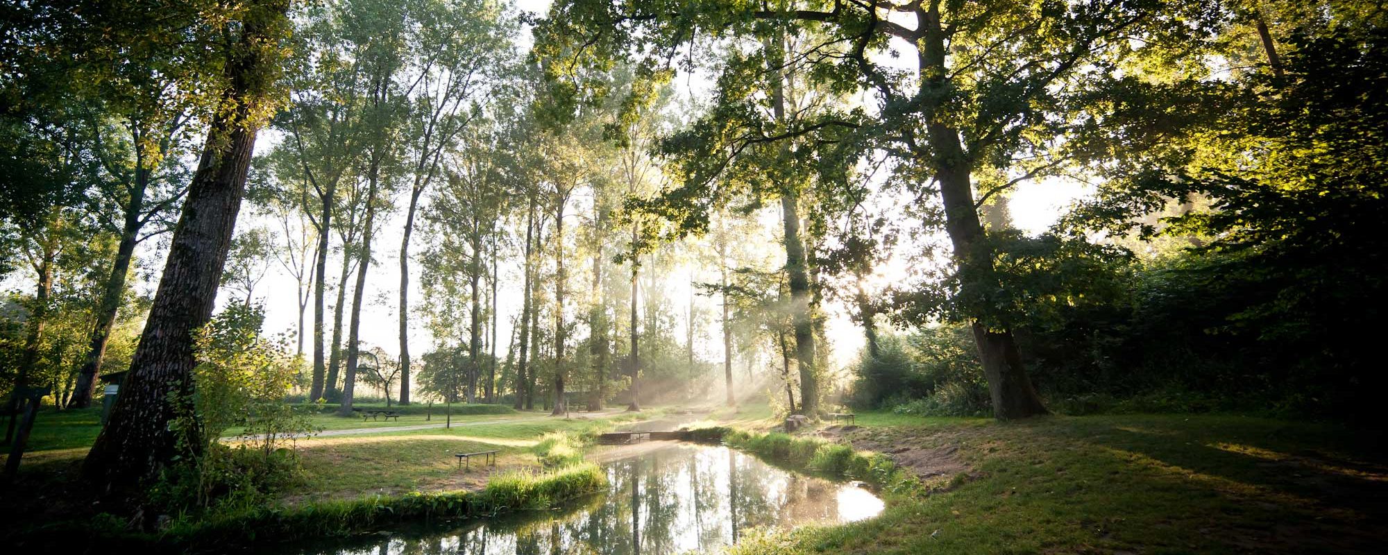 Pisciculture De Monchel : Etang de peche nord Monchel