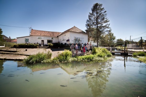 Pisciculture De Monchel : Etang dans le Nord pas de calais pour pêche à la truite