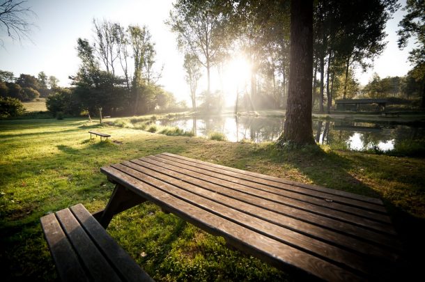 Pisciculture De Monchel : table pique nique etang de peche dans le nord