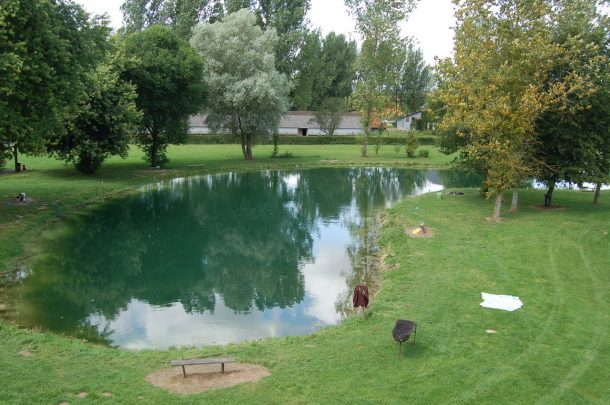 Pisciculture De Monchel : Etang de pêche 62 à Wail